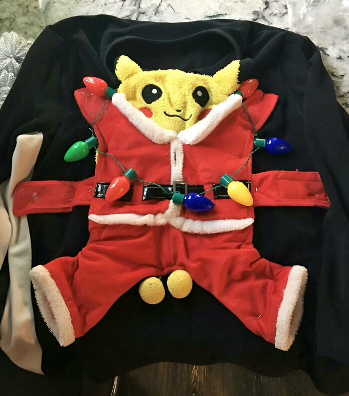 I Just Finished Making My Ugly Christmas Sweater. I Used Dog Clothes And A Pikachu Hat. What Do You Think?
