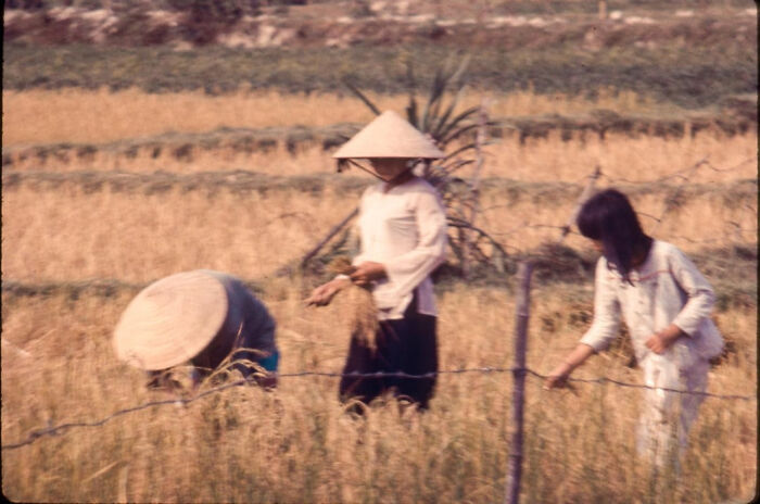 Vietnam-Slide-Film