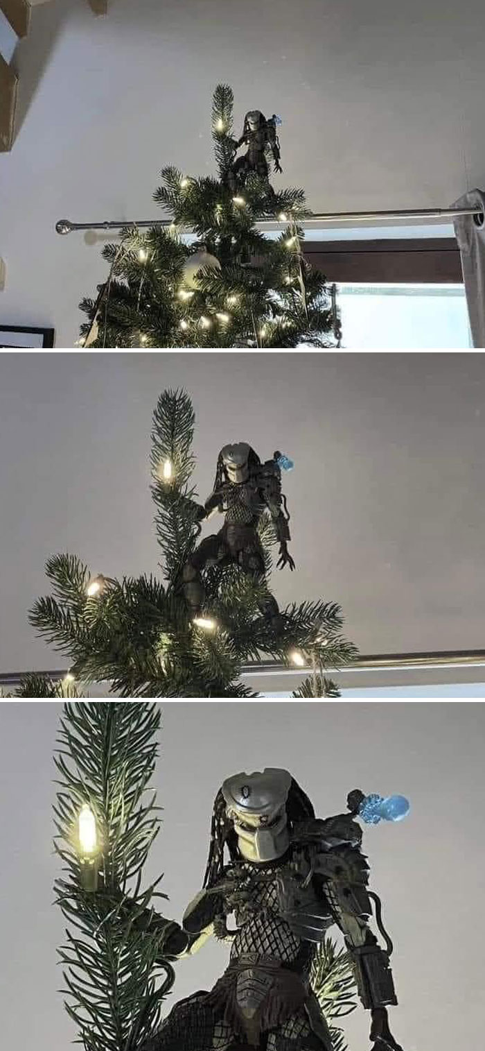 Mi esposa me dejó decorar el árbol este año