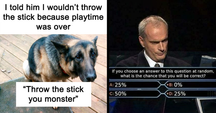 “If You Need It Explained, You Won’t Understand”: 50 Posts From ‘Delusions Of Adequacy’ (New Pics)