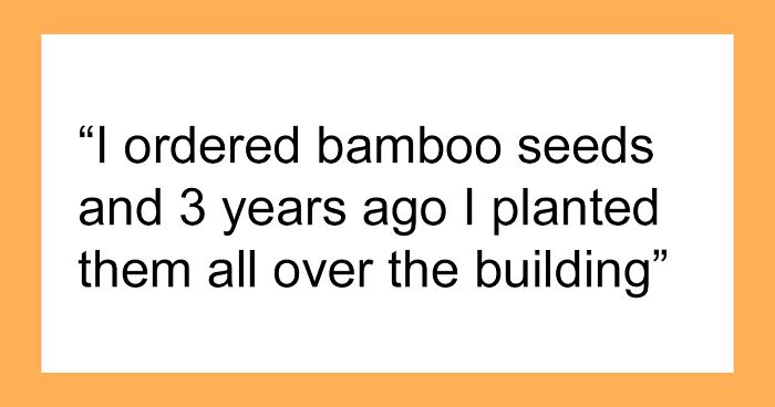 Woman Plants Bamboo Around Cheap Landlord’s Rental To Teach Him A Lesson In Keeping Promises