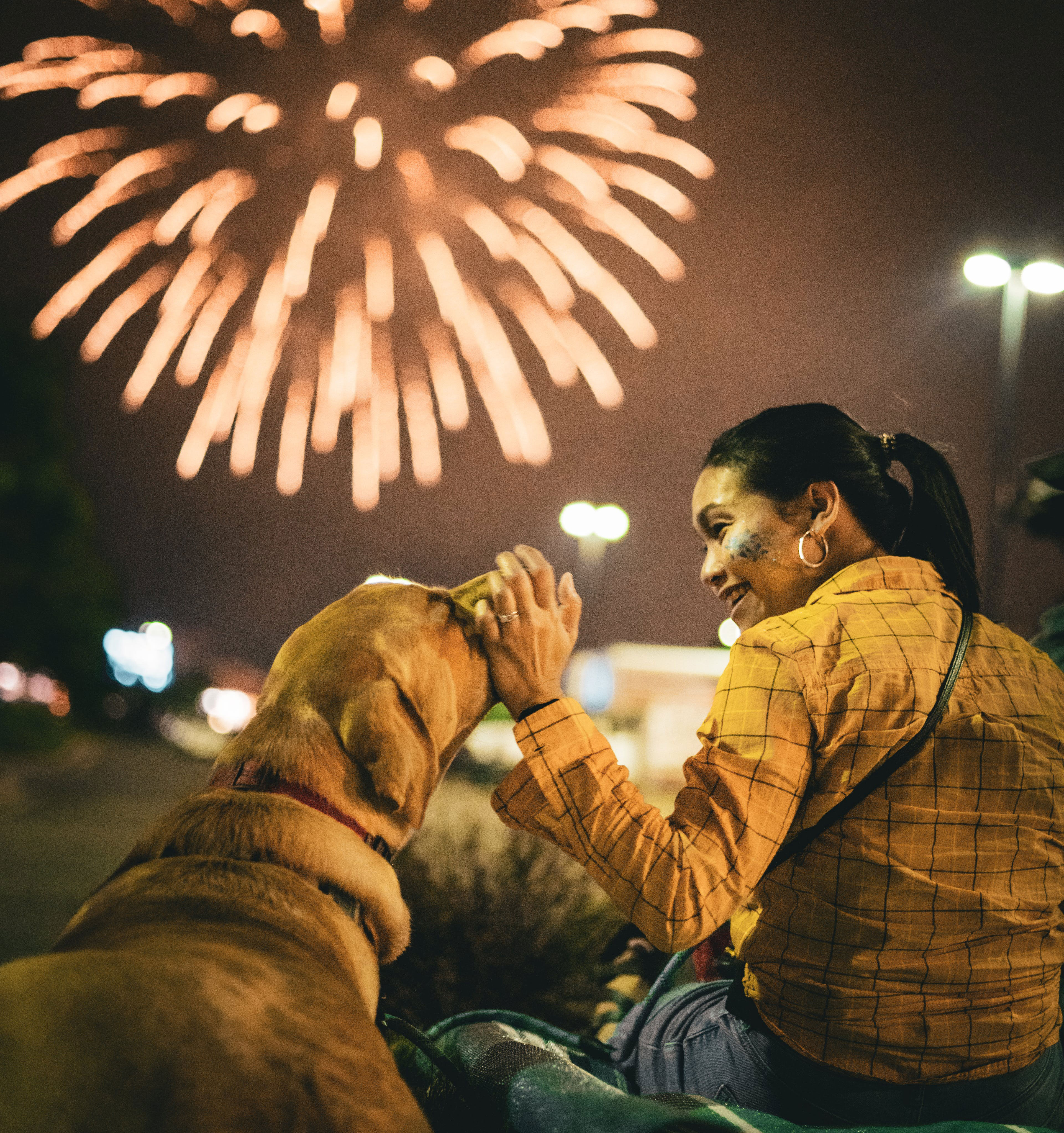 woman sitting and patting dog with fireworks behind