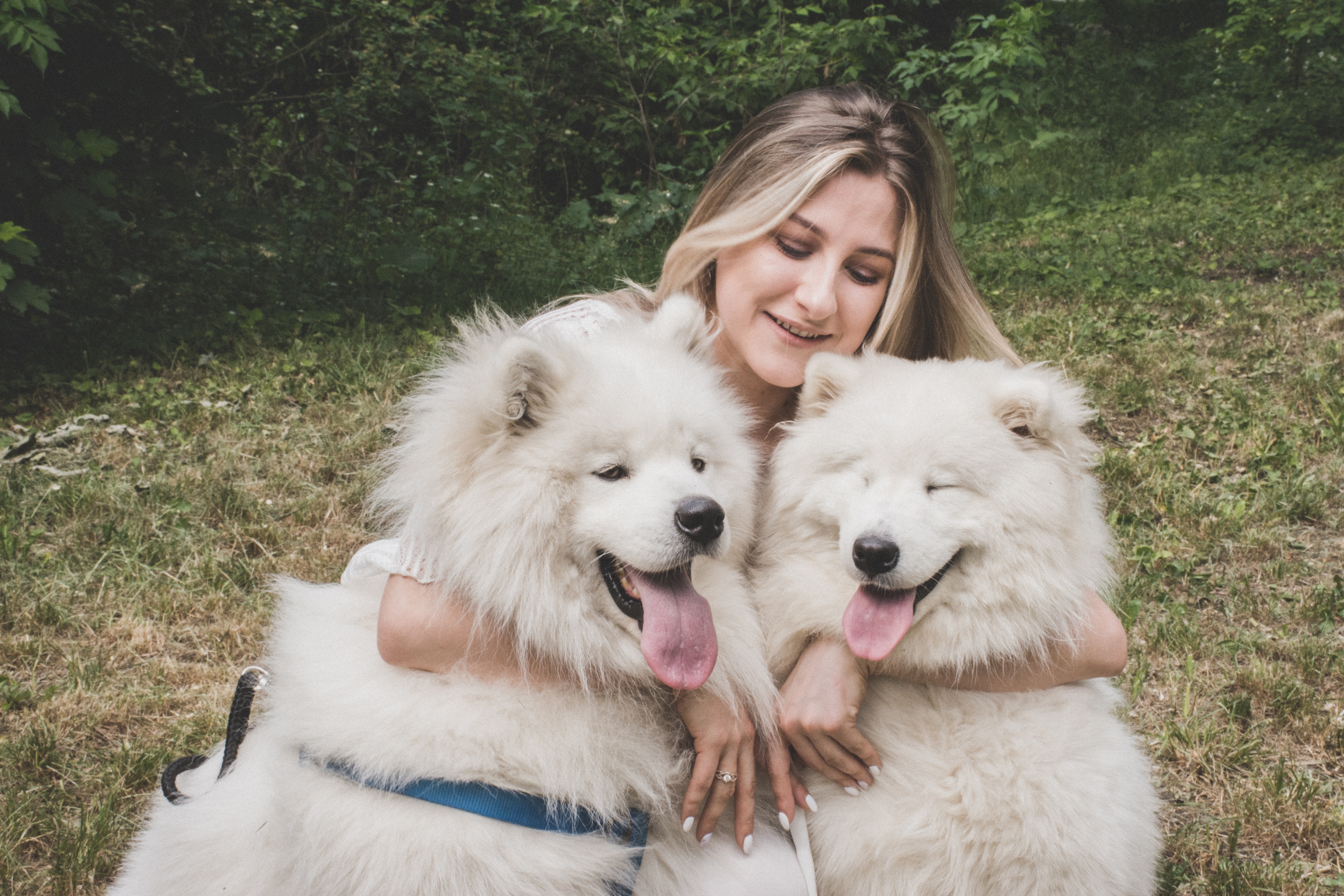 Person hugging two white dogs