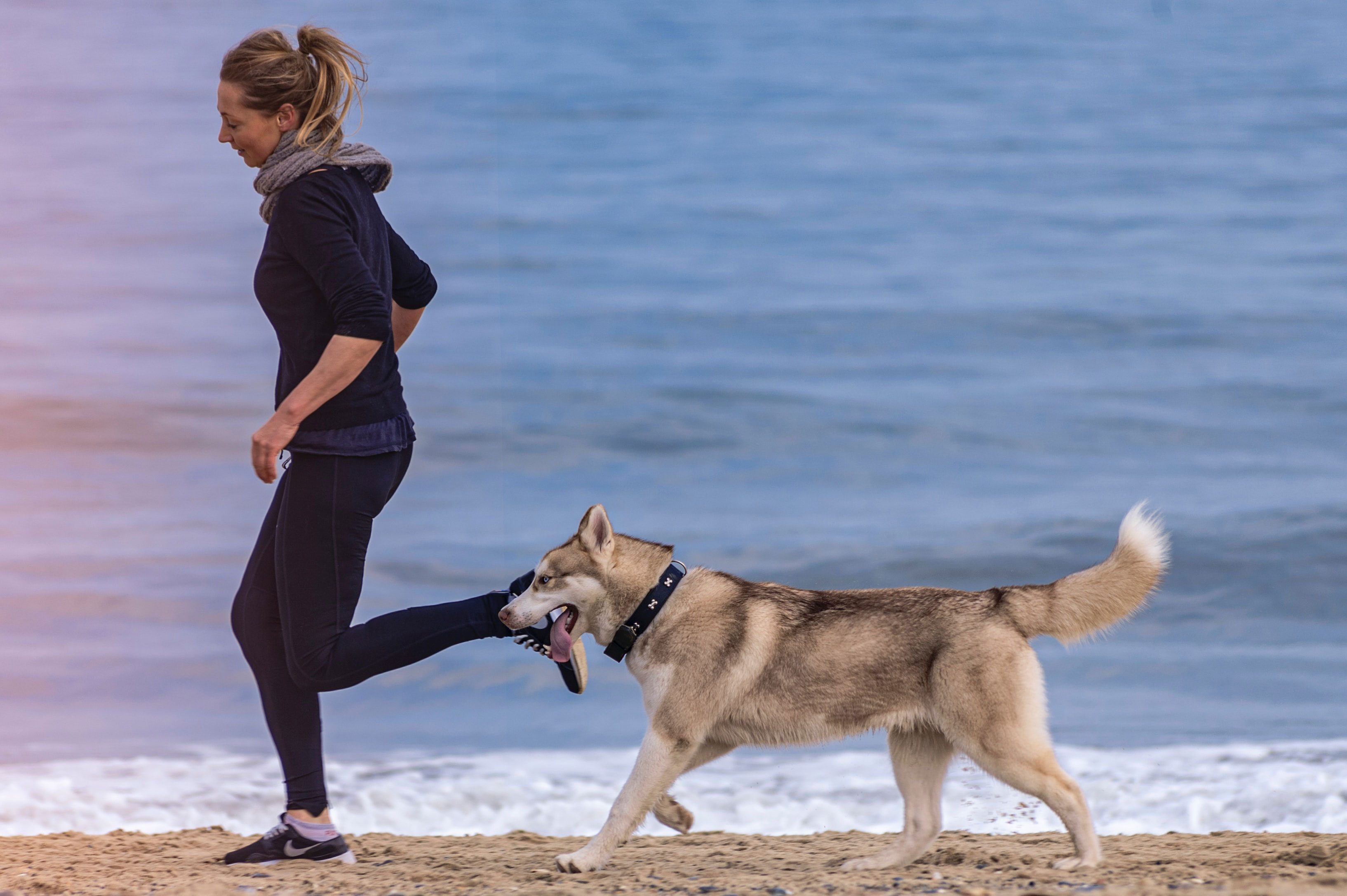 woman and dog running on the seashore
