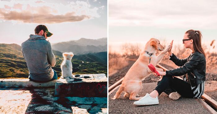 10 Ways to Show Your Dog You Love Them That They Understand