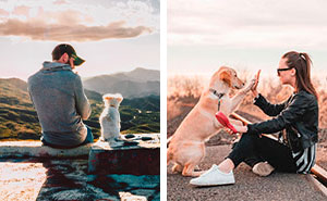 10 Ways to Show Your Dog You Love Them That They Understand