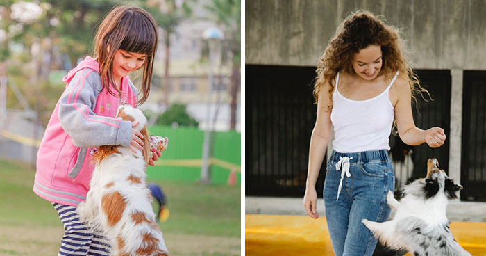 How to Stop your dog from jumping on People