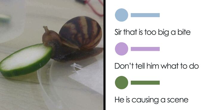 ‘The Lighter Side Of Science’: 50 Hilariously Relatable Memes For All