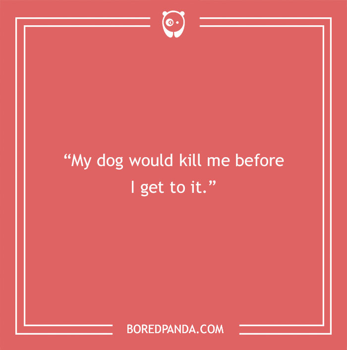 58 Scenarios That We Might Encounter If Dogs Could Talk