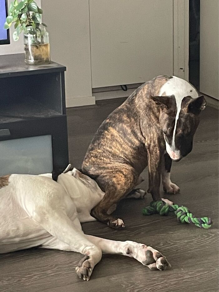 Testing Her Patience