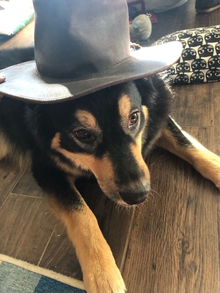 Cowgirl Kaya