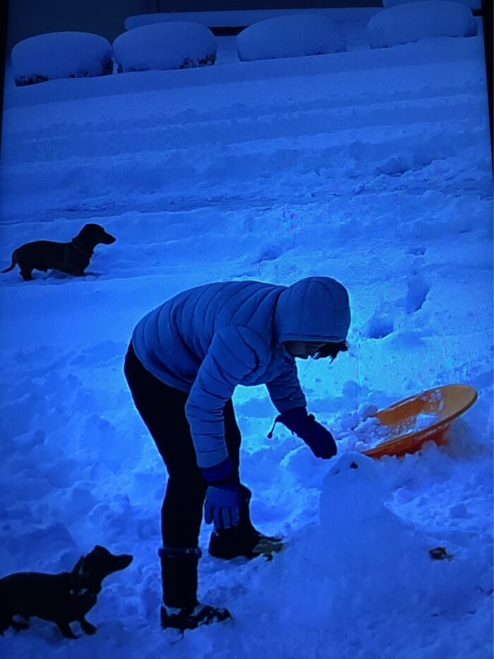 Two Dachshunds And My Granddaughter Playing In Snow On Our Street