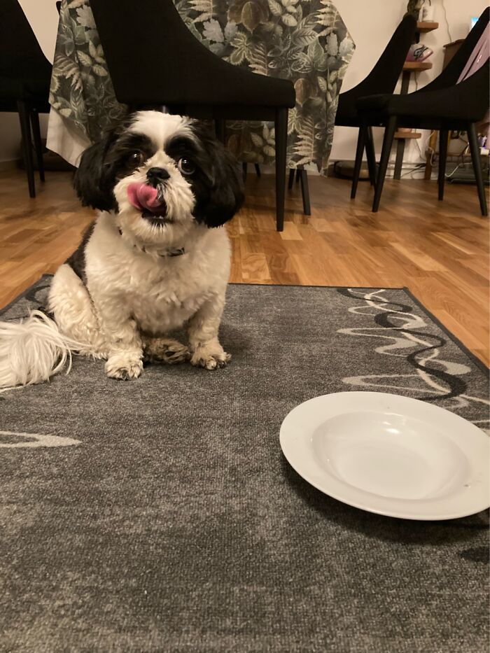 Put Food In Plate Please