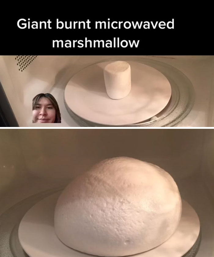 People Who Live In An "Ingredient Household" Share Their Unhinged Meals People Who Live In An "Ingredient Household" Share Their Unhinged Meals