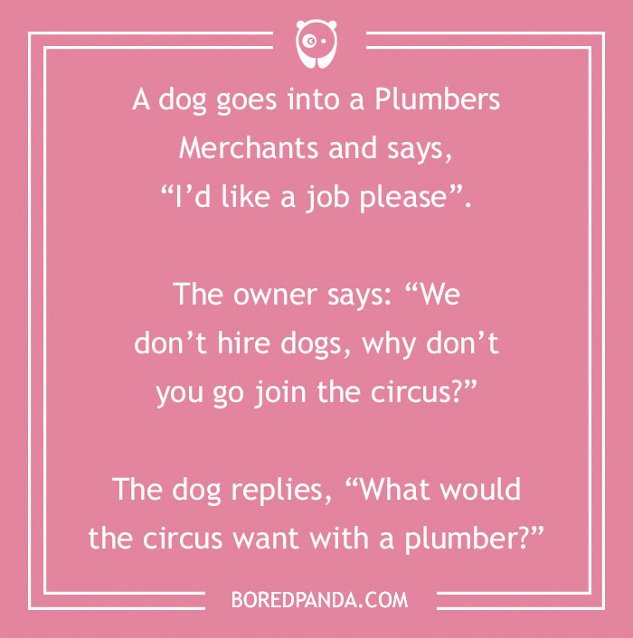 150 Jokes About Plumbers Nobody Prepared You For