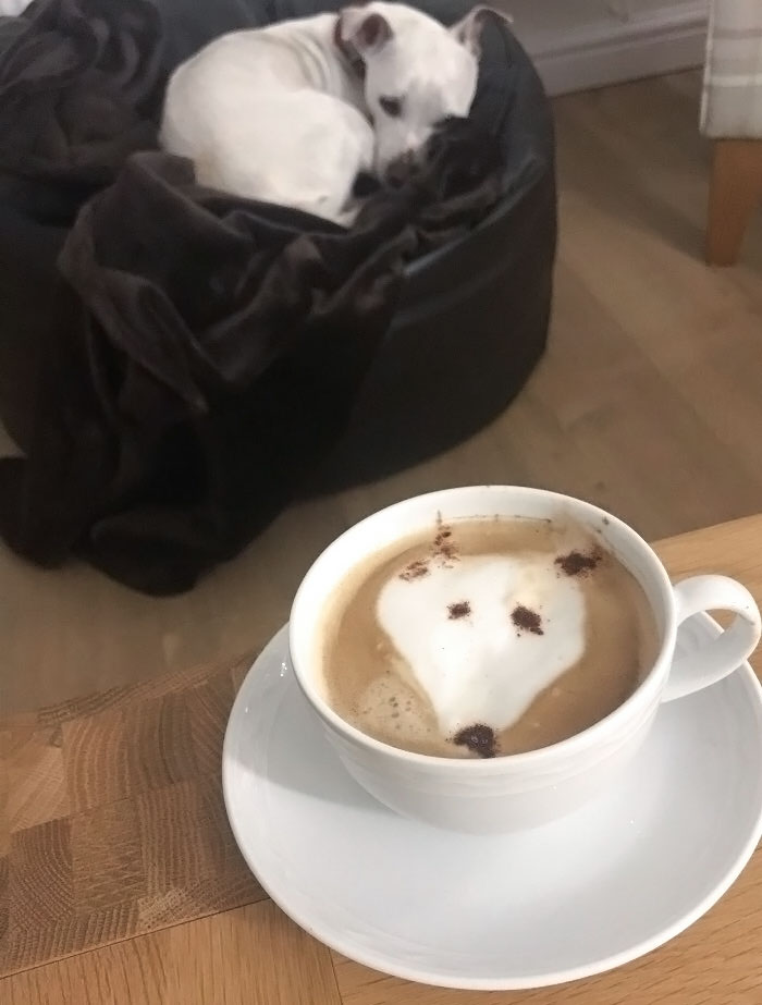 The Time When My Husband Tried To Recreate Our Dog In A Cup Of Coffee