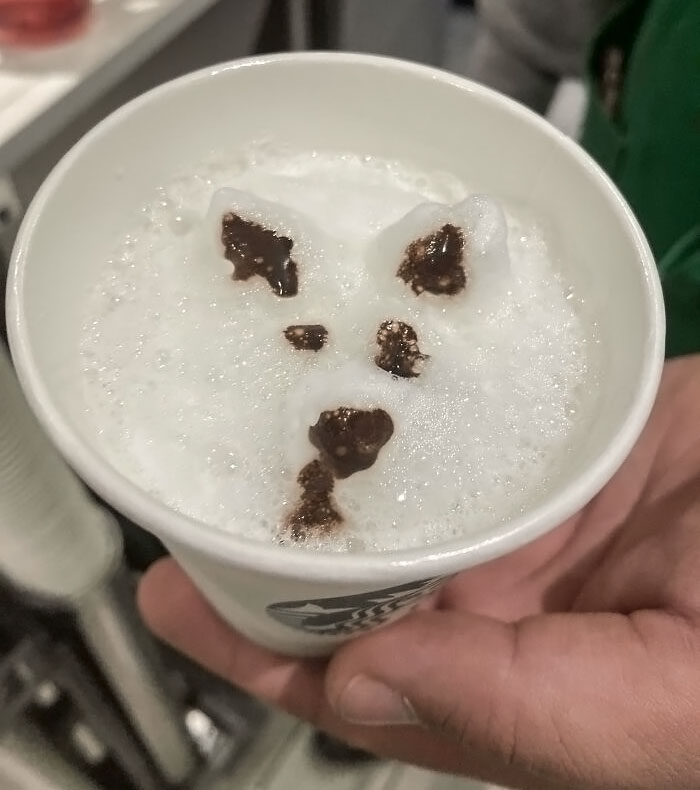 Dog Latte Attempt. Not A Very Good One