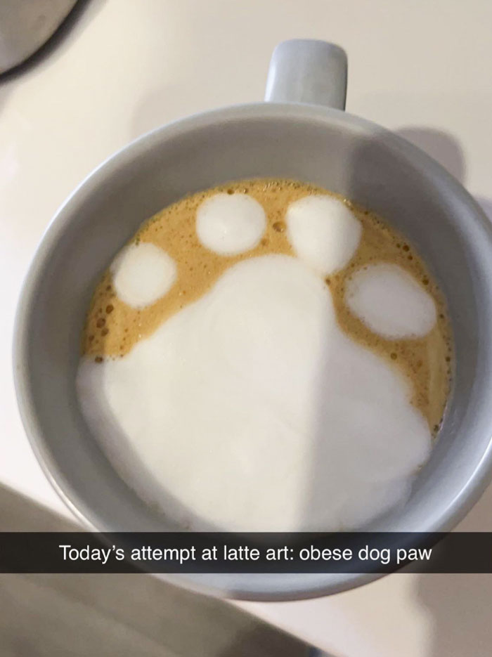 Still Learning Latte Art Technique. I Either Get My Milk Frothy Or Not Micro-Foamed Enough For Regular Pour Art. I Like To Name My Abominations