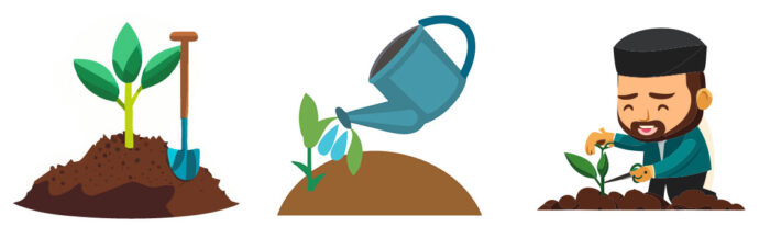 Illustrated maintenance of the plants Illustrated maintenance of the plants