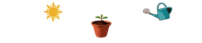 illustrated pot with cuttings, sun and watering can illustrated pot with cuttings, sun and watering can