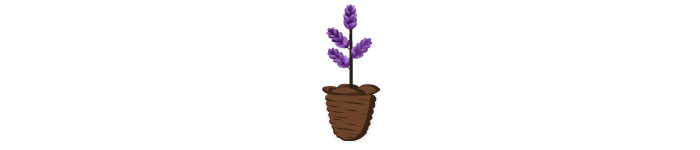 illustrated lavendar in a soil illustrated lavendar in a soil