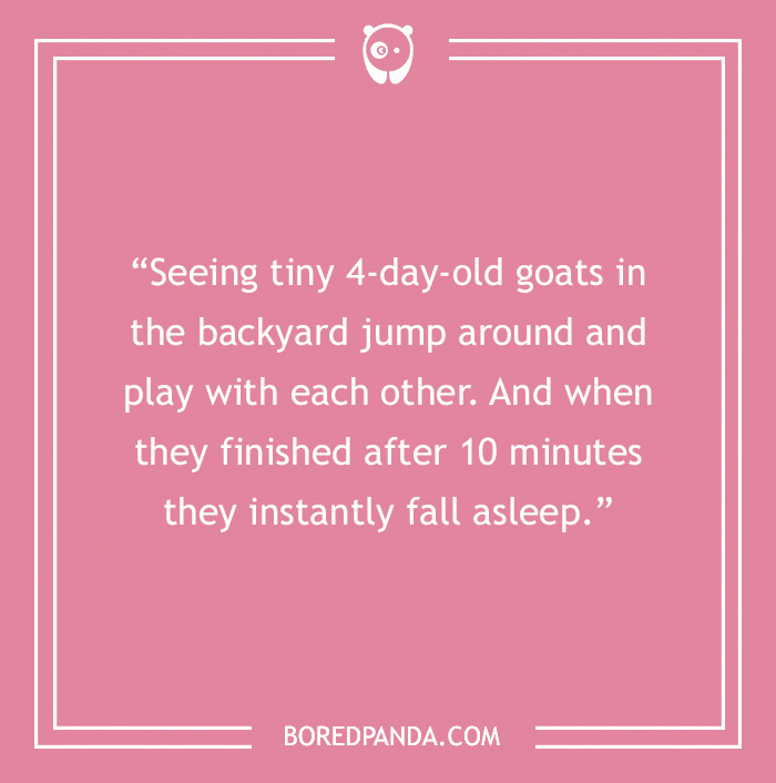 76 Little Things In Life That Bring Big Happiness