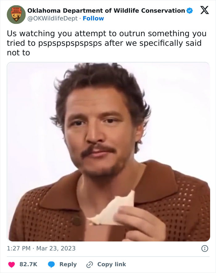 A Video Of Pedro Pascal Eating Described Many Of Us In Various Situations