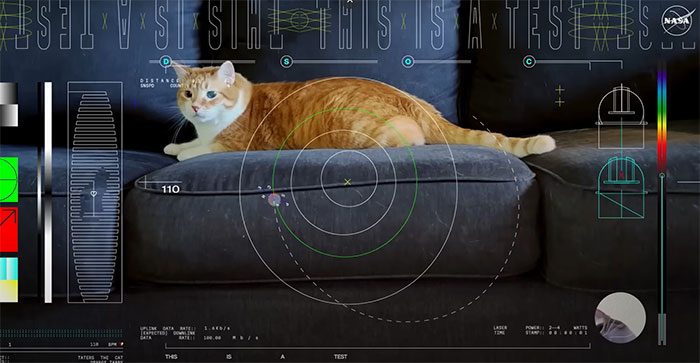 NASA Employee's Cat Stars In First Clip Transmitted To Earth By Laser 19 Million Miles Away