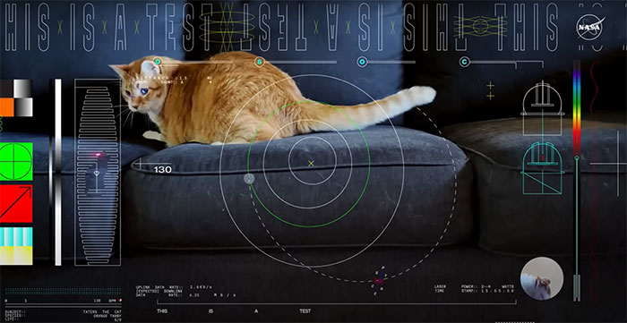 NASA Employee's Cat Stars In First Clip Transmitted To Earth By Laser 19 Million Miles Away