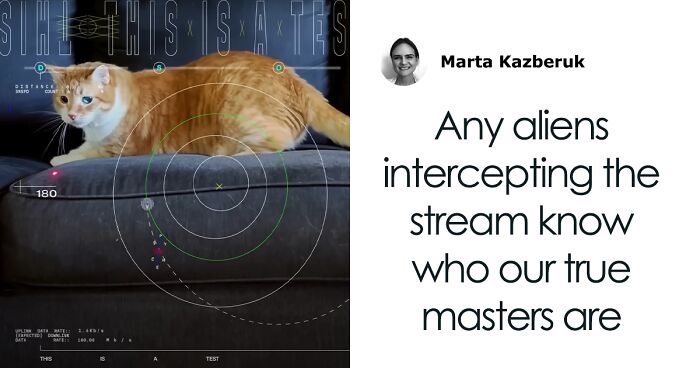 NASA Employee’s Cat Stars In First Clip Transmitted To Earth By Laser 19 Million Miles Away
