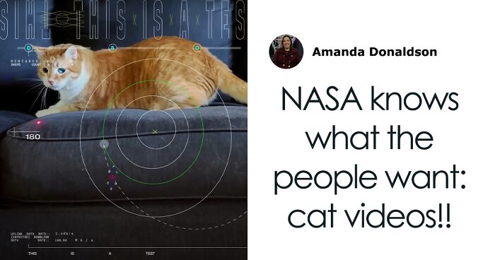 NASA Employee’s Cat Stars In First Clip Transmitted To Earth By Laser 19 Million Miles Away