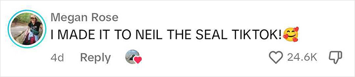 Niel The Seal Terrorizes Tiny Tasmanian Town And The Internet Adores Him Niel The Seal Terrorizes Tiny Tasmanian Town And The Internet Adores Him