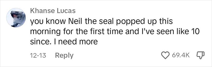 Niel The Seal Terrorizes Tiny Tasmanian Town And The Internet Adores Him Niel The Seal Terrorizes Tiny Tasmanian Town And The Internet Adores Him