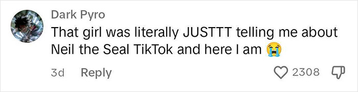 Niel The Seal Terrorizes Tiny Tasmanian Town And The Internet Adores Him Niel The Seal Terrorizes Tiny Tasmanian Town And The Internet Adores Him