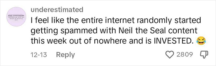Niel The Seal Terrorizes Tiny Tasmanian Town And The Internet Adores Him Niel The Seal Terrorizes Tiny Tasmanian Town And The Internet Adores Him