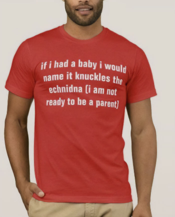 Si tuviera un bebé lo llamaría Knuckles el equidna (no estoy listo para ser padre)