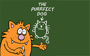 The Nature Of Cats: Artist Purrfectly Describes What Having A Cat Is Like In His 50 New Comics