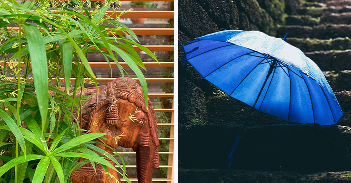 Umbrella grass near the statue of an elephant on the left image, blue umbrella on a staircase in the right image