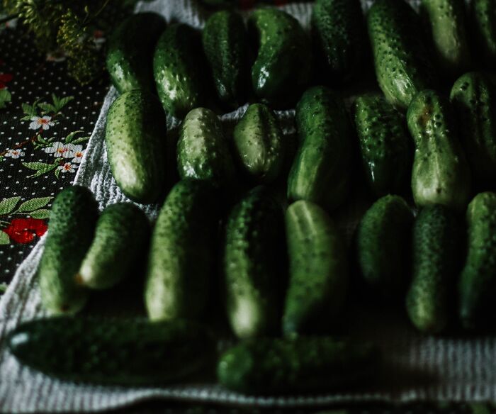Multiple cucumbers on a table cloth 