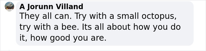 “We’ve Been Heard”: Scientists Communicate With A Whale For 20 Minutes In Her Own Language “We’ve Been Heard”: Scientists Communicate With A Whale For 20 Minutes In Her Own Language