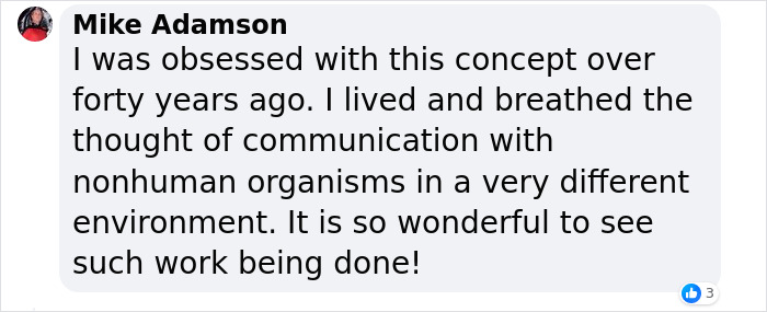“We’ve Been Heard”: Scientists Communicate With A Whale For 20 Minutes In Her Own Language “We’ve Been Heard”: Scientists Communicate With A Whale For 20 Minutes In Her Own Language