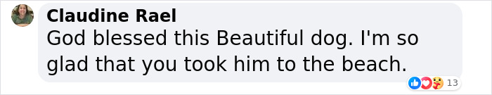 To Cope With His Grief, Man Creates A World Where He Can Keep Visiting His Pooch Who Passed Away To Cope With His Grief, Man Creates A World Where He Can Keep Visiting His Pooch Who Passed Away