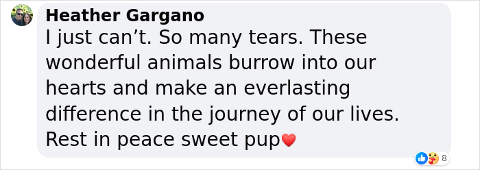 To Cope With His Grief, Man Creates A World Where He Can Keep Visiting His Pooch Who Passed Away To Cope With His Grief, Man Creates A World Where He Can Keep Visiting His Pooch Who Passed Away