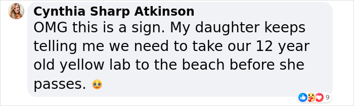 To Cope With His Grief, Man Creates A World Where He Can Keep Visiting His Pooch Who Passed Away To Cope With His Grief, Man Creates A World Where He Can Keep Visiting His Pooch Who Passed Away