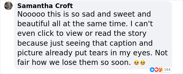 To Cope With His Grief, Man Creates A World Where He Can Keep Visiting His Pooch Who Passed Away To Cope With His Grief, Man Creates A World Where He Can Keep Visiting His Pooch Who Passed Away