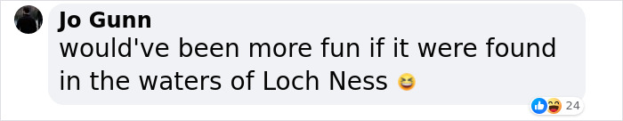 Men Discover Perfectly Preserved Skull Of Prehistoric Predator That Lived 150 Million Years Ago Men Discover Perfectly Preserved Skull Of Prehistoric Predator That Lived 150 Million Years Ago