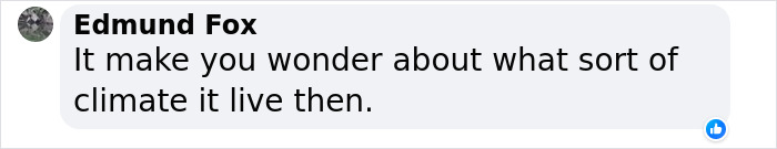 Men Discover Perfectly Preserved Skull Of Prehistoric Predator That Lived 150 Million Years Ago Men Discover Perfectly Preserved Skull Of Prehistoric Predator That Lived 150 Million Years Ago