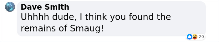 Men Discover Perfectly Preserved Skull Of Prehistoric Predator That Lived 150 Million Years Ago Men Discover Perfectly Preserved Skull Of Prehistoric Predator That Lived 150 Million Years Ago