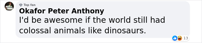 Men Discover Perfectly Preserved Skull Of Prehistoric Predator That Lived 150 Million Years Ago Men Discover Perfectly Preserved Skull Of Prehistoric Predator That Lived 150 Million Years Ago