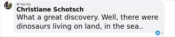 Men Discover Perfectly Preserved Skull Of Prehistoric Predator That Lived 150 Million Years Ago Men Discover Perfectly Preserved Skull Of Prehistoric Predator That Lived 150 Million Years Ago